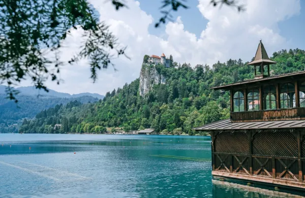 Bled