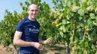 Enolog Boštjan Zidar (v vinogradih Vinakopra) napoveduje, da bo  
vse odkupljeno grozdje plačano do konca letošnjega leta.

