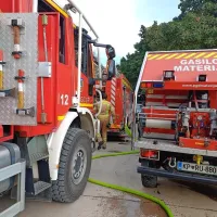 Kozina: Zagorelo na strmem in neprehodnem terenu (FOTO)