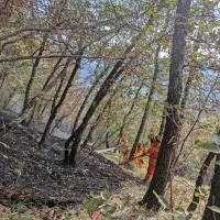 Kozina: Zagorelo na strmem in neprehodnem terenu (FOTO)