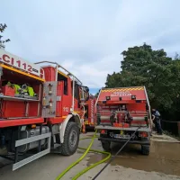 Kozina: Zagorelo na strmem in neprehodnem terenu (FOTO)
