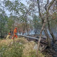 Kozina: Zagorelo na strmem in neprehodnem terenu (FOTO)
