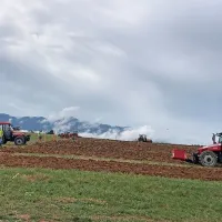 Orači so se v Prestranku pomerili za naslov državnega prvaka (FOTO)