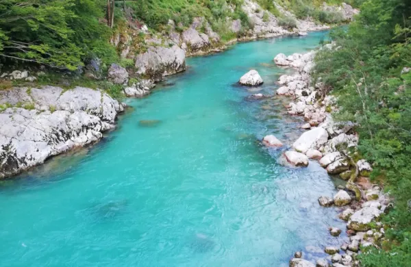 Bistra Soča  se je zaradi  močnih  padavin  v  ponedeljek  spremenila 
v sivo  in  motno.   