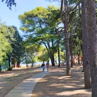 Na območju Petelinjega rta, na severozahodnem  delu izolskega 
polotoka, je urejen ozelenjeni park Punta, ki je izjemno priljubljen 
med stanovalci in dnevnimi obiskovalci mesta.