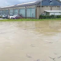 Badaševica je močno narasla