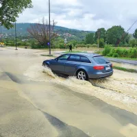 Šalara