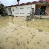 Šalara danes zgodaj popoldne
