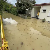 Šalara danes zgodaj popoldne