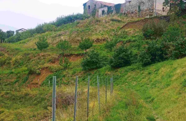 V Brdih se je sprožilo več kot 30 plazov, trije večji so v Kozani, Imenjah in na Cerovem. 