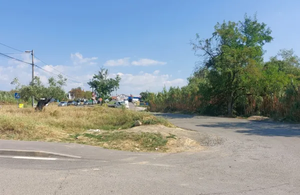 Za  spornimi prodajalci  sadja  je  ostala  prazna  zelenica,  na  kateri  so   
aprila  prodajalke    pripravile  površino  za  stojnico.