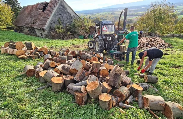 Drva ostajajo najbolj priljubljen vir ogrevanja v državi.
