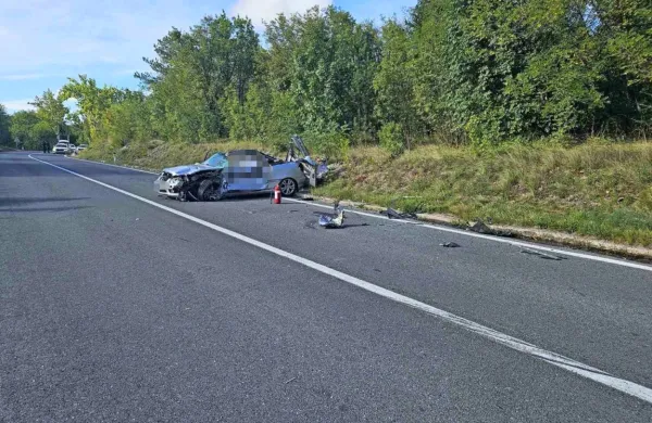 63-letni voznik osebnega avtomobila znamke mercedes je na kraju 
umrl.