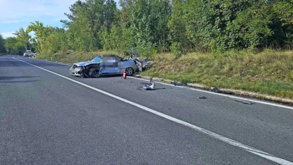 63-letni voznik osebnega avtomobila znamke mercedes je na kraju 
umrl.
