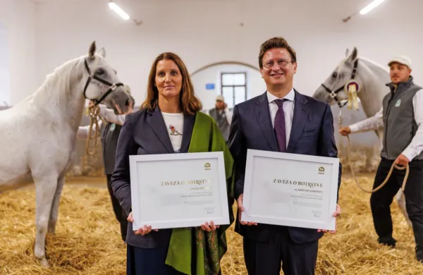 Dr. Damjan Kukovec in Špela Spanžel sta botra žrebet letnika 2024 v Lipici.