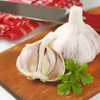 Pomembno vlogo v jesenski dieti igra česen,  ki ob rednem 
uživanju zagotavlja dobro prebavo in presnovo.