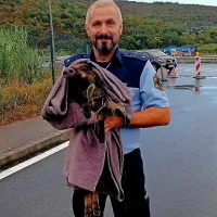 Policisti  so  mladička  zavili  v   odejo  in  odnesli  pod  streho, nato  pa  
poklicali  lovce.  