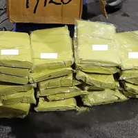 V  kartonastih škatlah  so  bili   zavitki,  v  njih  pa  prepovedana  snov    
kratom. 