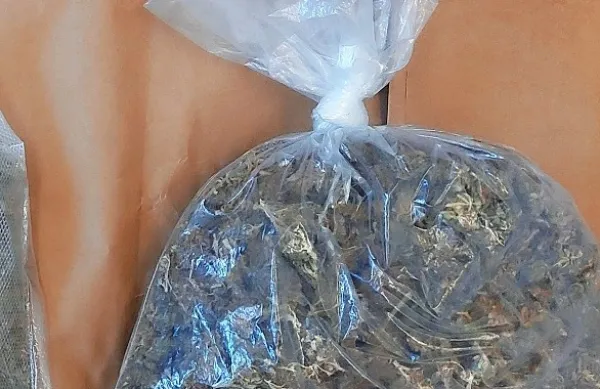 Med hišno preiskavo  so  policisti  zasegli vrečko  s posušenimi 
rastlinskimi  delci. 
