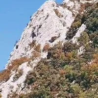 Plezalko je v steni ugriznil modras, pohodnik je padel v globino