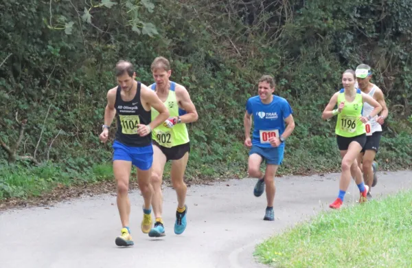 Simon Alič (902) je v zaključnem klancu  teka na Nanos prehitel 
dotlej vodilnega Uroša Rozmana (1104). Blizu vodilne moške 
trojke se je držala ženska zmagovalka Anja Mikuž (1196). 
