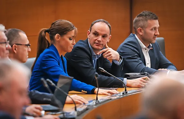 V parlamentarnih strankah podpora umiku referenduma o Jeku 2