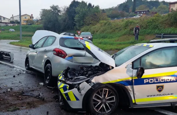 Hiteli zaradi migrantov, trčili zaradi domačina