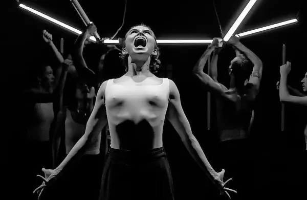 Festival Visavì je sklenila predstava domačega kolektiva MN Dance 
Company F-lights.
