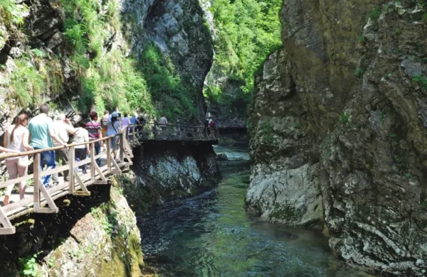 Sotesko Vintgar je v letošnji sezoni obiskalo več kot 300.000 
domačih in tujih gostov. 
