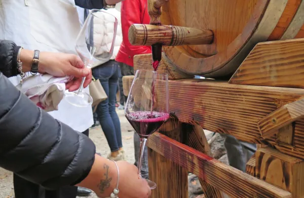 Na Krasu  začenjajo praznovanje svetega Martina, ki  obeležuje 
spremembo mošta v vino.