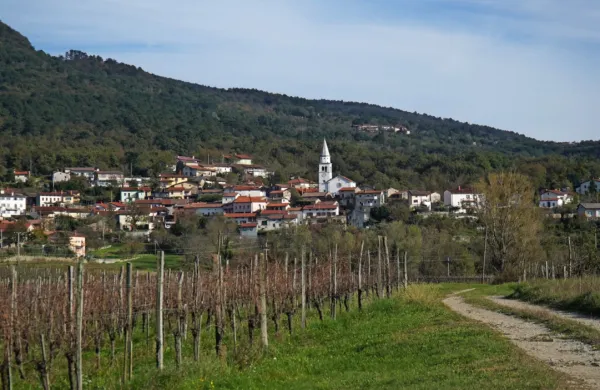 Občina bi morala vas razvijati na primeren način in spodbujati 
organsko širitev, pravijo v CI Osek. 