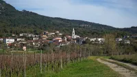 Občina bi morala vas razvijati na primeren način in spodbujati 
organsko širitev, pravijo v CI Osek. 