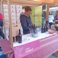 Sredi&scaron;če mesta vabi na Martinovo GO!rica (FOTO)