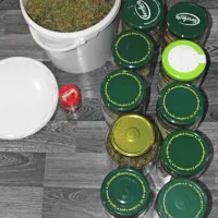 Pri 40-letniku z Gori&scaron;kega na&scaron;li &scaron;otor in konopljo