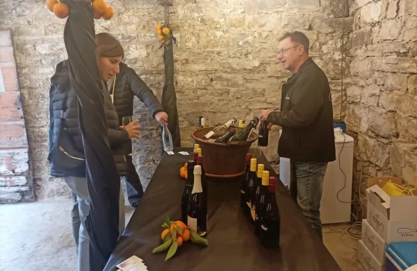 V Brdih so mošt prekrstili v vino že danes, ko je Šmartno postalo 
središče briškega martinovanja.