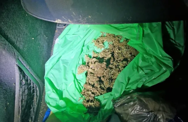 Trojica je v avtu prevažala 1,12 kilograma trave.