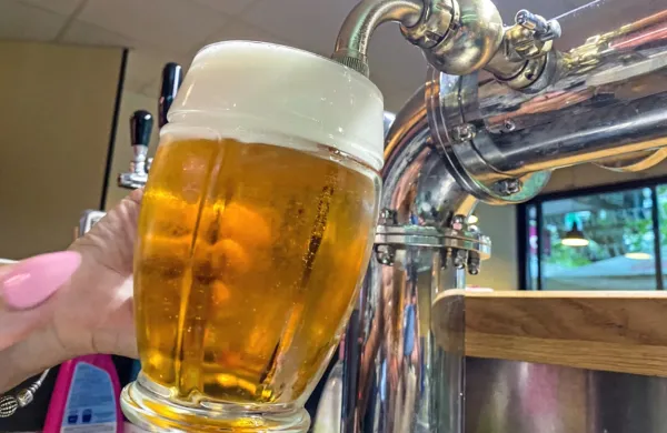V Sloveniji je pitje alkoholnih pijač zelo razširjeno. 