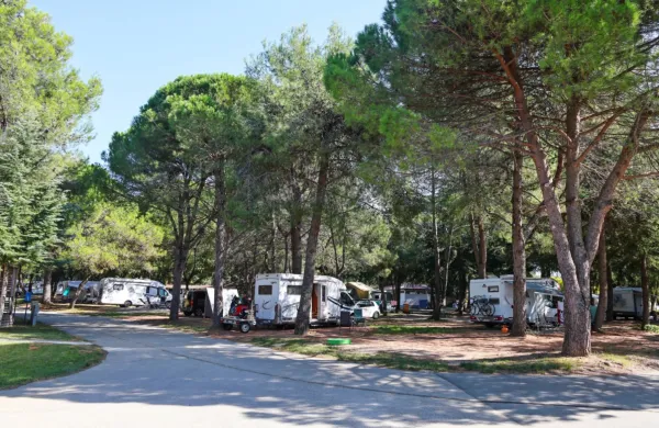 Med večjimi kampi v Sloveniji se je na tretje mesto uvrstil  kamp 
Adria Ankaran.