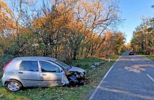 Krajna vas: s ceste v drevo