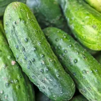 V kumarah so še posebej koristne snovi za kožo: vitamina C in K, 
mangan in betakaroteni.