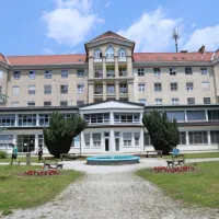  Na Kliniki Golnik vsako leto obravnavajo približno 200 pacientov z 
najtežjimi oblikami alergije.