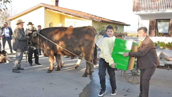 Vola Mi&scaron;ko in Rikec pripeljala čebele s pa&scaron;e na domačijo Pri Ragačevih