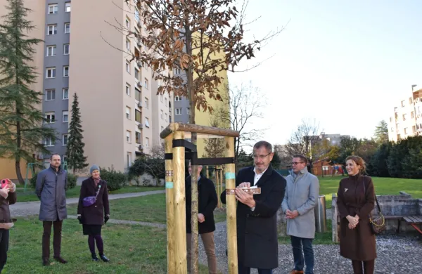 Tako je oznako 60 dreves za 60 let KS Nova Gorica na zadnje posajeno drevo nalepil direktor Komunale 
Darko  Ličen