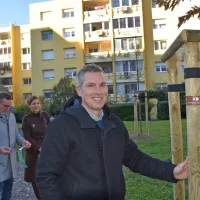 Predsednik sveta KS Nova Gorica ob Gregor Humar ob zadnjem 
posajenem drevesu, opremljenem z rjavim trakom, ki označuje 
akcijo 60 dreves za 60 let KS Nova Gorica.