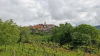 Pogled na Labin iz Presike,  iz vinograda pred gostilno Tina

