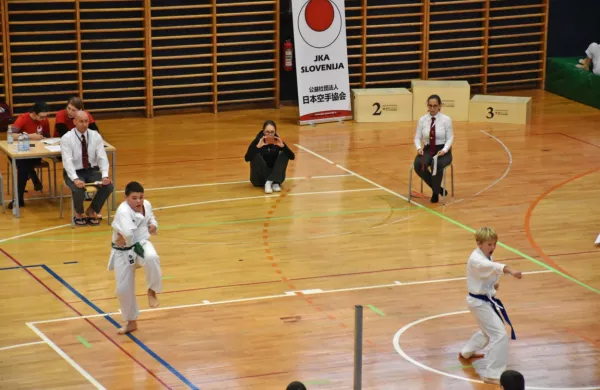 V pokalnem tekmovanju JKA karate zveze Slovenije sežanski Samurai leto  2024 zaključuje na drugem mestu.

