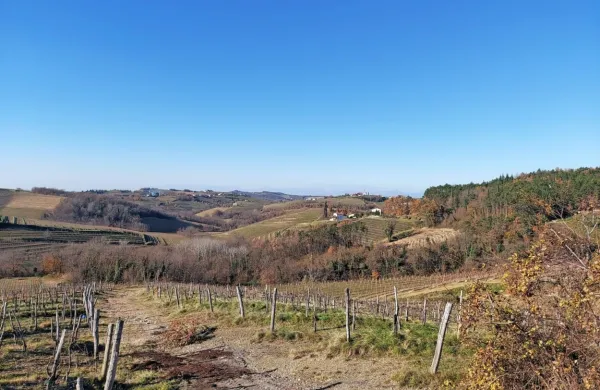 Kdaj bodo gradili &ldquo;terme&rdquo;, &scaron;e ne vedo