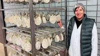 Mateja Leva s sodelavci skrbi, da so tolminski želodci in druge 
mesnine iz Alpije karseda blizu tradicionalnim okusom.