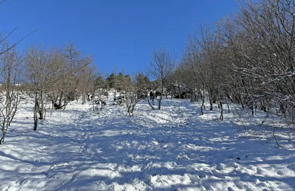 V noči s četrtka na petek je zasnežilo tudi Slavnik.