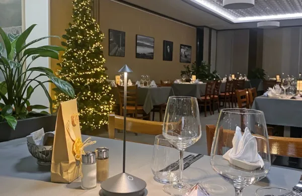 Plesno-kulinarični večer v Hotelu Sabotin v Solkanu so razprodali 
že  sredi decembra. Letos je privabil 120 gostov, med njimi je že 
tradicionalno največ Novogoričanov. 